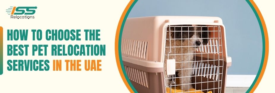 How to Choose the Best Pet Relocation Services in the UAE - ISS Relocations
