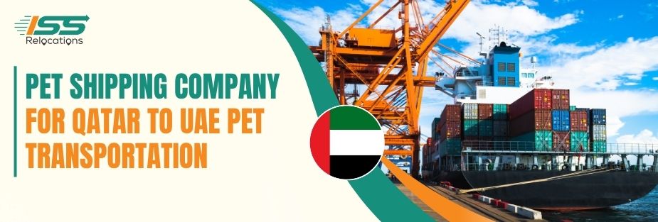 Pet Shipping Company for Qatar to UAE Pet Transportation - ISS Relocations