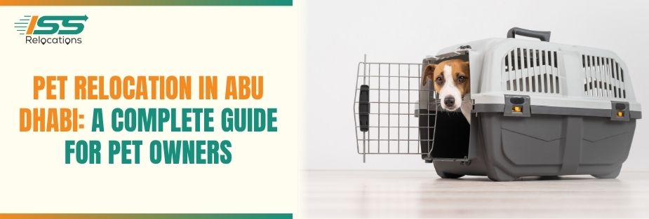 Pet Relocation in Abu Dhabi: A Complete Guide for Pet Owners - ISS Relocations